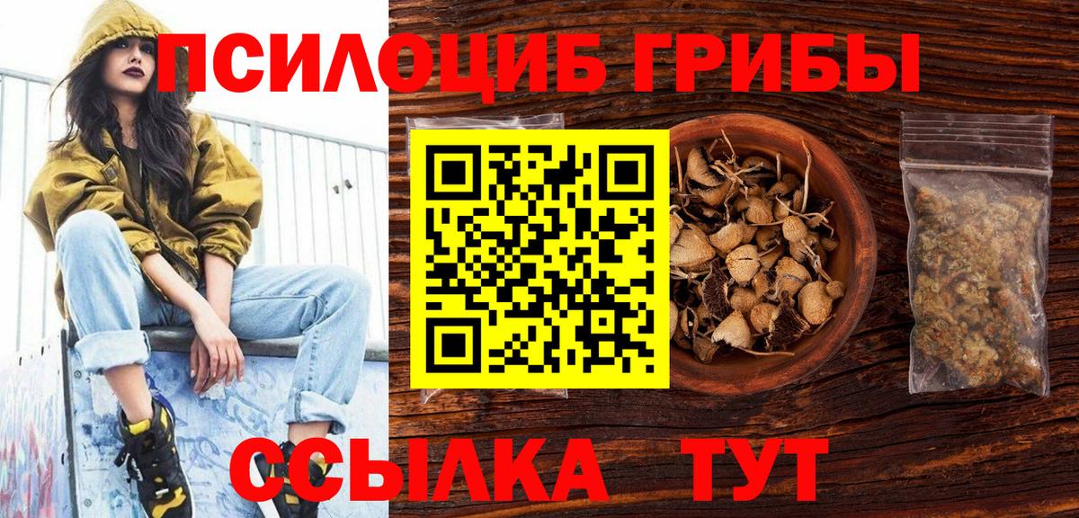 Псилоцибиновые грибы Psilocybe  Вход с VPN  Кызыл 
