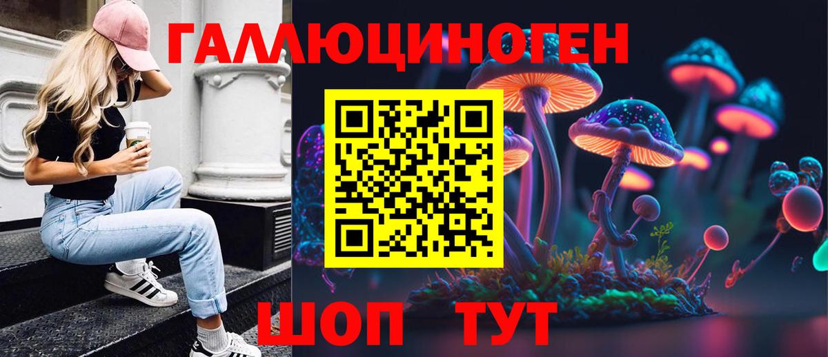 Галлюциногенные грибы Psilocybe Кызыл